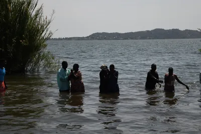 DSC_3310 (Large).JPG